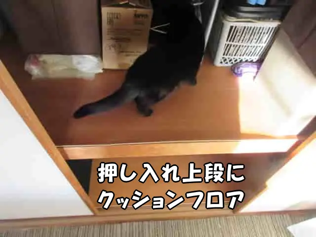 押し入れ上段にクッションフロアを敷いた様子